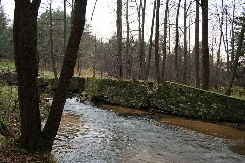 Rostoczek 11.2008 166